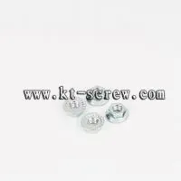 Lathe Nut of Hex Flange Nut