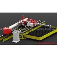 SNR-DiF 8 Axis Multi-function Tube-sheet Cutting Machine photo-3