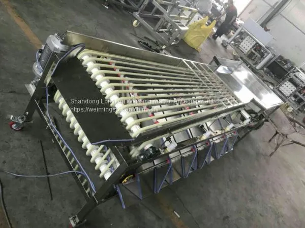 Cherry Tomato Sorting Machine photo-3