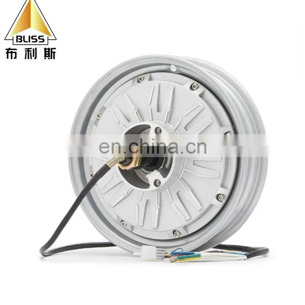 Hub Motor 250W-1000W Electric Hub Motor Wheel 10 Inch 12 Inch 17 Inch 21 Inch Electric Car Hub Motor Electric Car Accessories photo-6