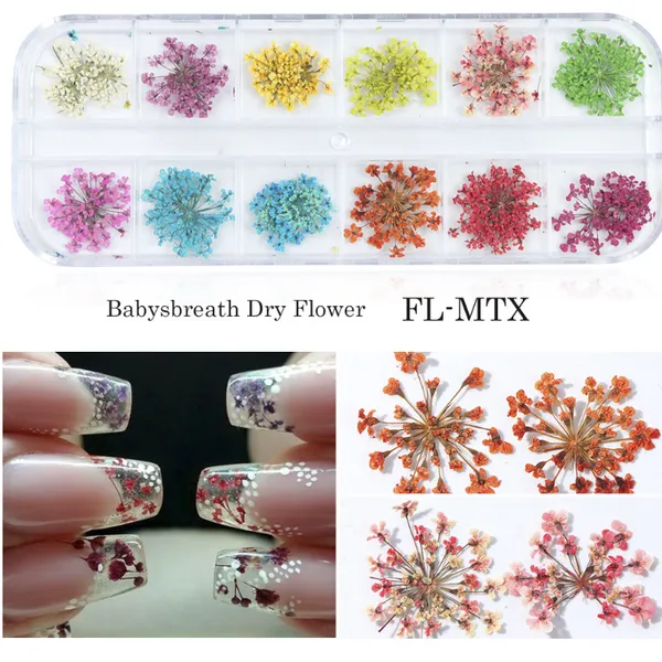 Natural Floral Leaf Stickers Babysbreath Dry Flower Tiny Dried Flowers For Nail Art photo-3