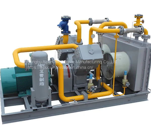 V-type Hydrogen Gas Compressor 202109