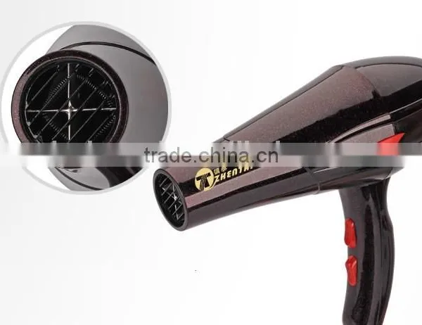 220V Professional Salon Hair Dryer for Woman photo-4