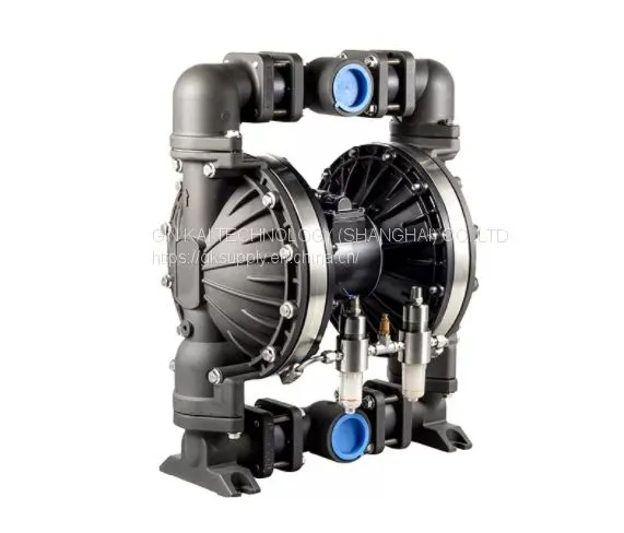2 Inches Diaphragm Pump With Leakage Detective Device (Metal)