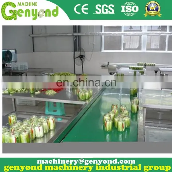 Factory Supplier Cucumber Pickles Making Machine photo-4