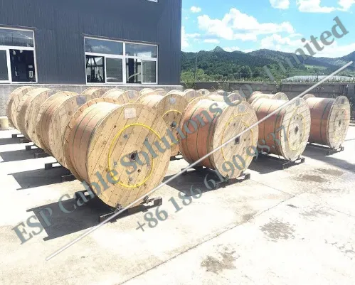 TEC Line photo-3
