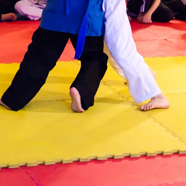 Professional Taekwondo EVA Foam Mats for Training & Dojang Flooring photo-5