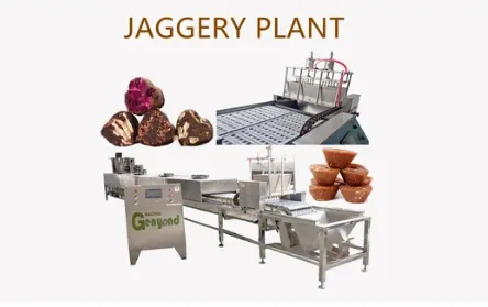 Jaggery Cube & Jaggerypowder Production Line photo-2