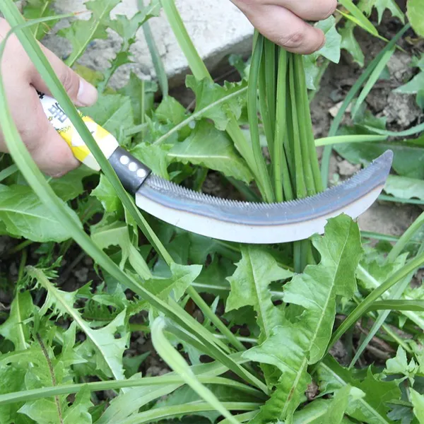 Field Ready Agricultural Hand Sickle for Repeated Field Use for Middle East Buyers Export Container Supply for Agricultural Harvest photo-5