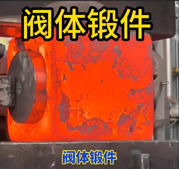 Valve Body Open-Die Forgings, Custom Forged Valve Body Blanks for High-Pressure Valves, Professional Forging Manufacturer