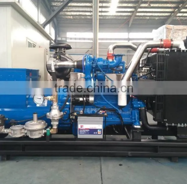 EAPP Brand Natural Gas Generator LY6BG80KW 80kw photo-3