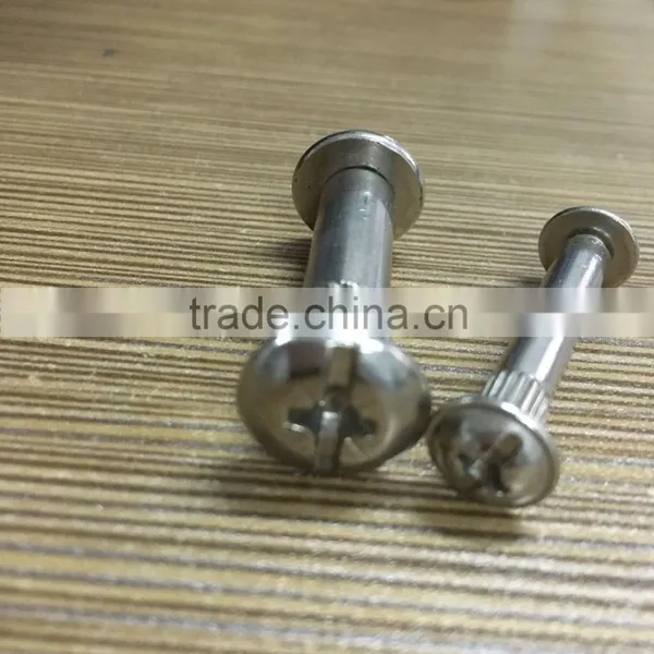 Chinese Factory Sales Screws Chicago photo-2