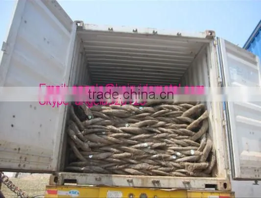 Galvanized Iron Wire With Competitive Price Low Price Electro Galvanized Iron Wire photo-4