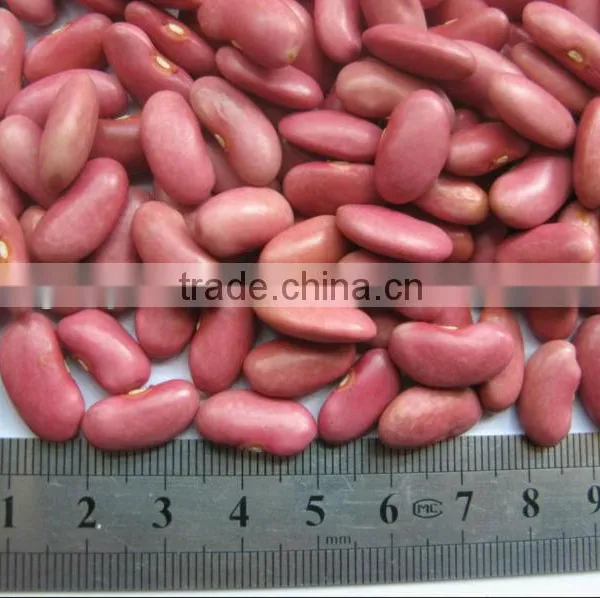 Dried Peas and Other Beans photo-3