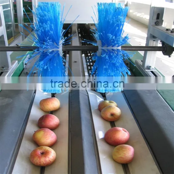 Kiwi Sorter Machine photo-2