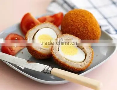 Panko Bread Crumbs Production Line photo-6