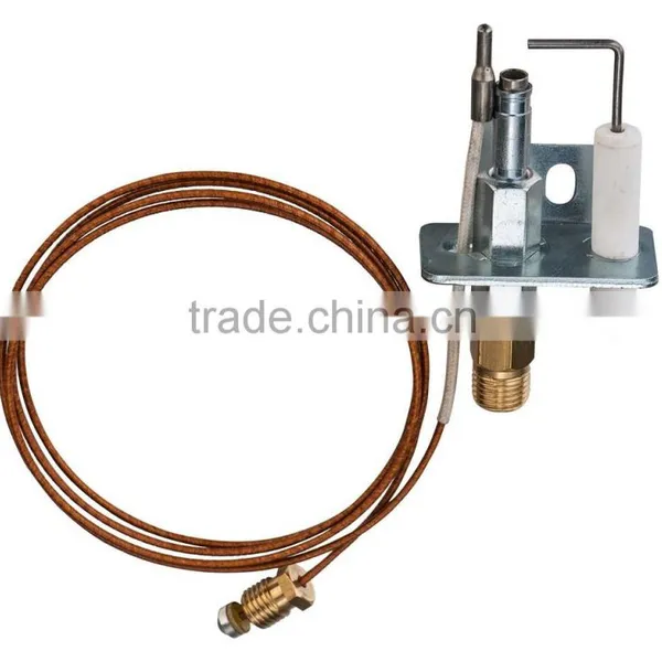 Gas Ignition/Flame Sensor photo-2