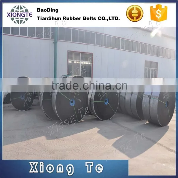 Conveyor Belt Used in Mining Mini Conveyor Belts Nylon Conveyor Belt photo-5