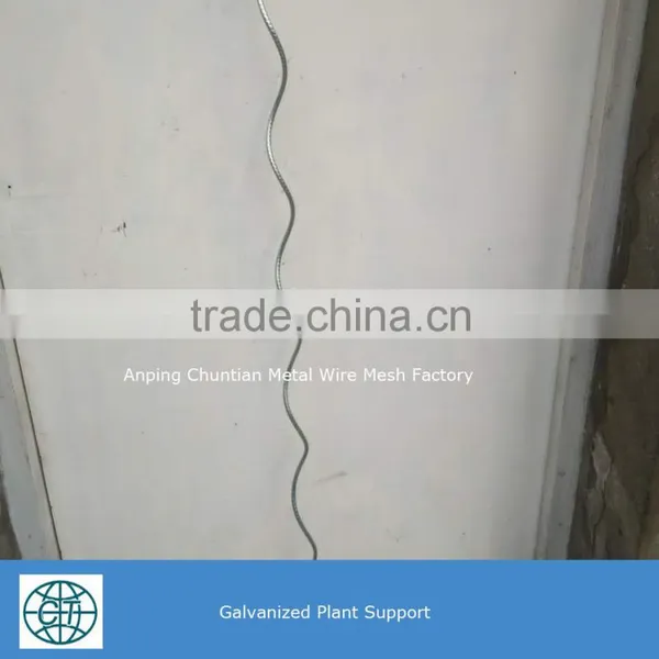 Glavanized Steel Bar Tomato Spiral Support Rod for Plant Climbing photo-4