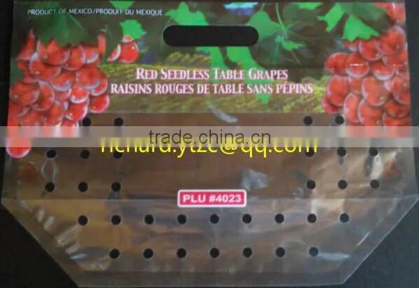 Vegetable Planting Bags