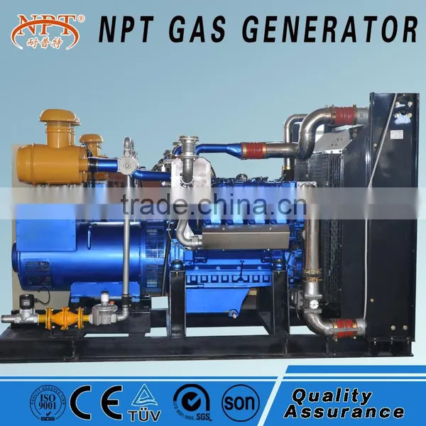 ISO CE Approved Natural Gas Generator photo-5