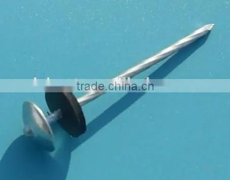 BWG9X2.5" Roofing Nail photo-4