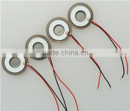 Different Sizes Piezo Ceramic Element Ultrasonic PZT Material Manufacturer photo-4