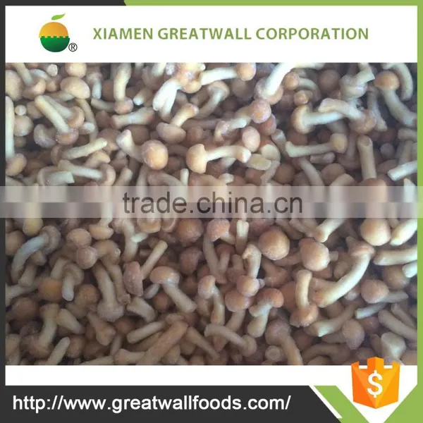 Purchase Frozen Wild Button Mushroom Price photo-3