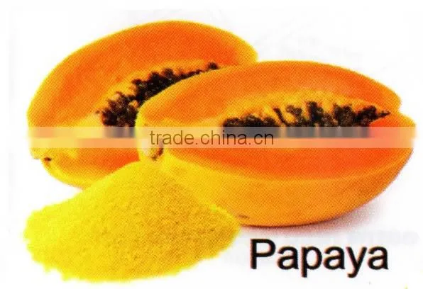 All-Natural Spray Dried Papaya Powder