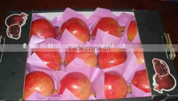 Pomegranates photo-5
