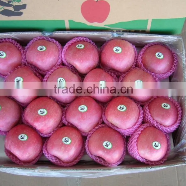 Fresh Apple Fruit Wholesale Distributors