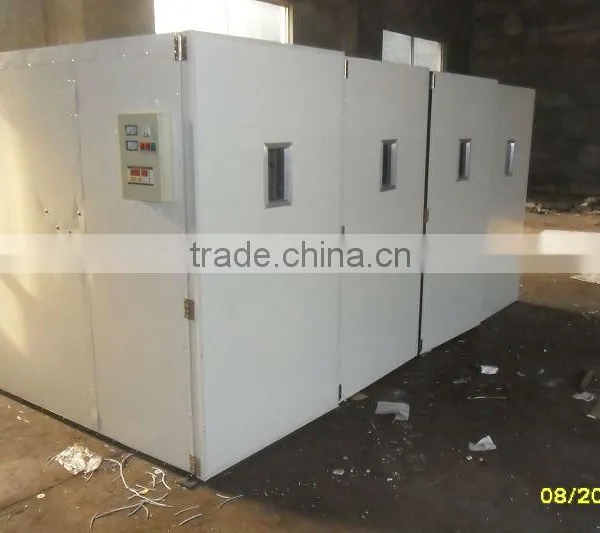 Eggs Incubator