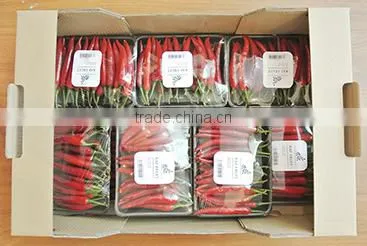 Fresh Chilli- Good Quality Spices for Cooking photo-6