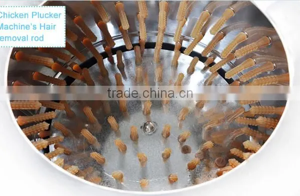 Commercial Automatic Chicken & Duck Plucker With CE Approved photo-3