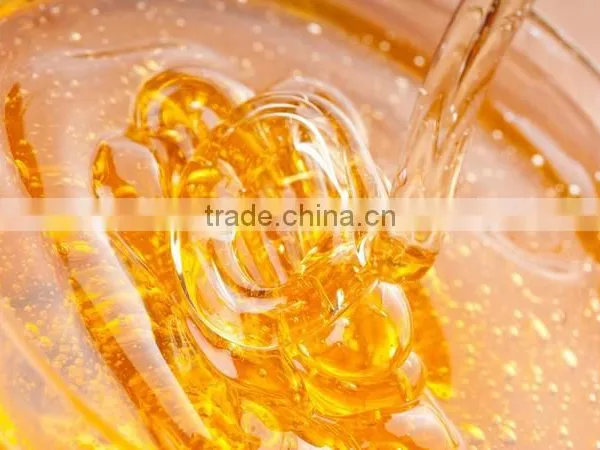 Honey Vacuum Concentrator /honey Extractor /honey Making Machine Used to Remove Moisture of Honey photo-5