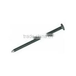 All kinds of standard black concrete nail concrete steel nail