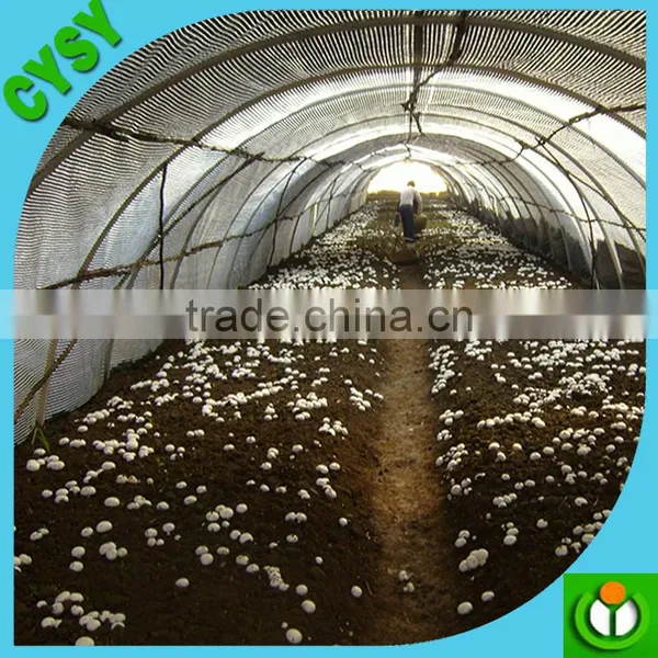 Heat Insulation Film Agriculture Plastic Black Film for Mushroom,95% Shade Rate Shade Net for Mushroom Use
