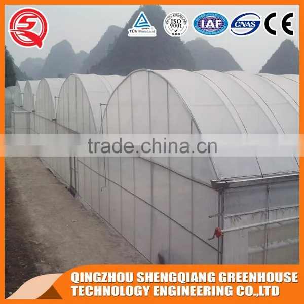 China Multifunction Plastic Greenhouse for Agricultural Farming photo-3