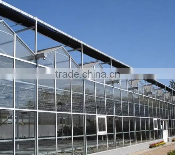 Commercial Greenhouse for Agriculture photo-3