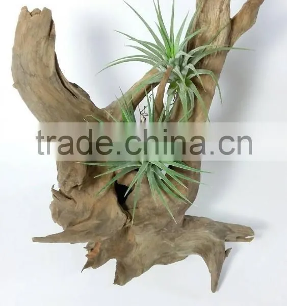 Hard Natural Driftwood for Aquarium ,reptile Decoration photo-3