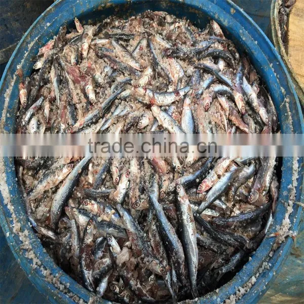 High Quality Salted Anchovy in Barrel photo-2