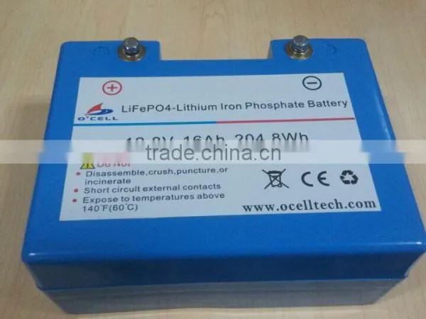 12v 20Ah Golf Trolley Lifepo4 Battery photo-3