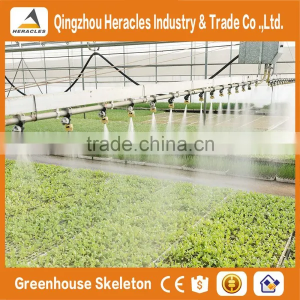 Heracles Trade Assurance Low Cost Greenhouse for Agriculture photo-5