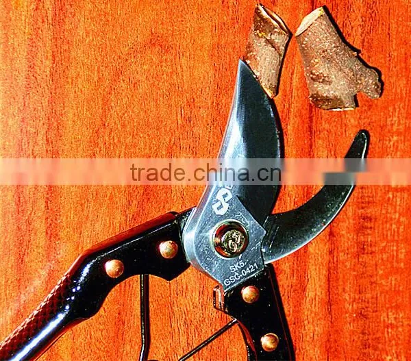 207 BY-pass Pruners photo-3