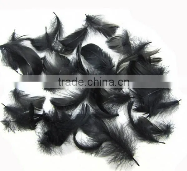 Wholesale Multicolor Decotation Goose Feather for Party and Wedding,5-8cm Import From China photo-2