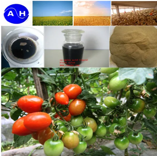 Banana Spraying Fertilizer Calcium + Boron Chelate Amino Acid Agricuture Fertilizer photo-4