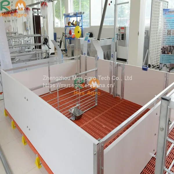 High Quality Automatic Pig Farm Design Floor Feeding System Equipment photo-4