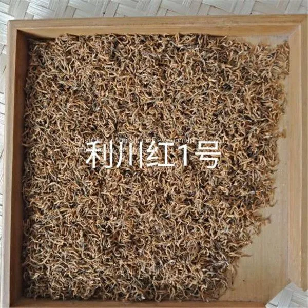 Supply Hubei Enshi Black Tea Selenium Rich Black Tea Lichuan Black Organic Black Tea Spring Tea photo-5