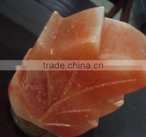 Himalayan Salt Fancy Lamps Leaf Design photo-4