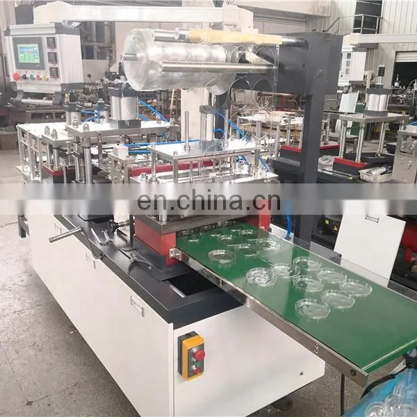 PCL420 Automatic Plastic Dissert Blister Tray Vacuum Forming Machine, Cold Hot Drink Cup Lid Cover Thermoforming Equipment photo-4